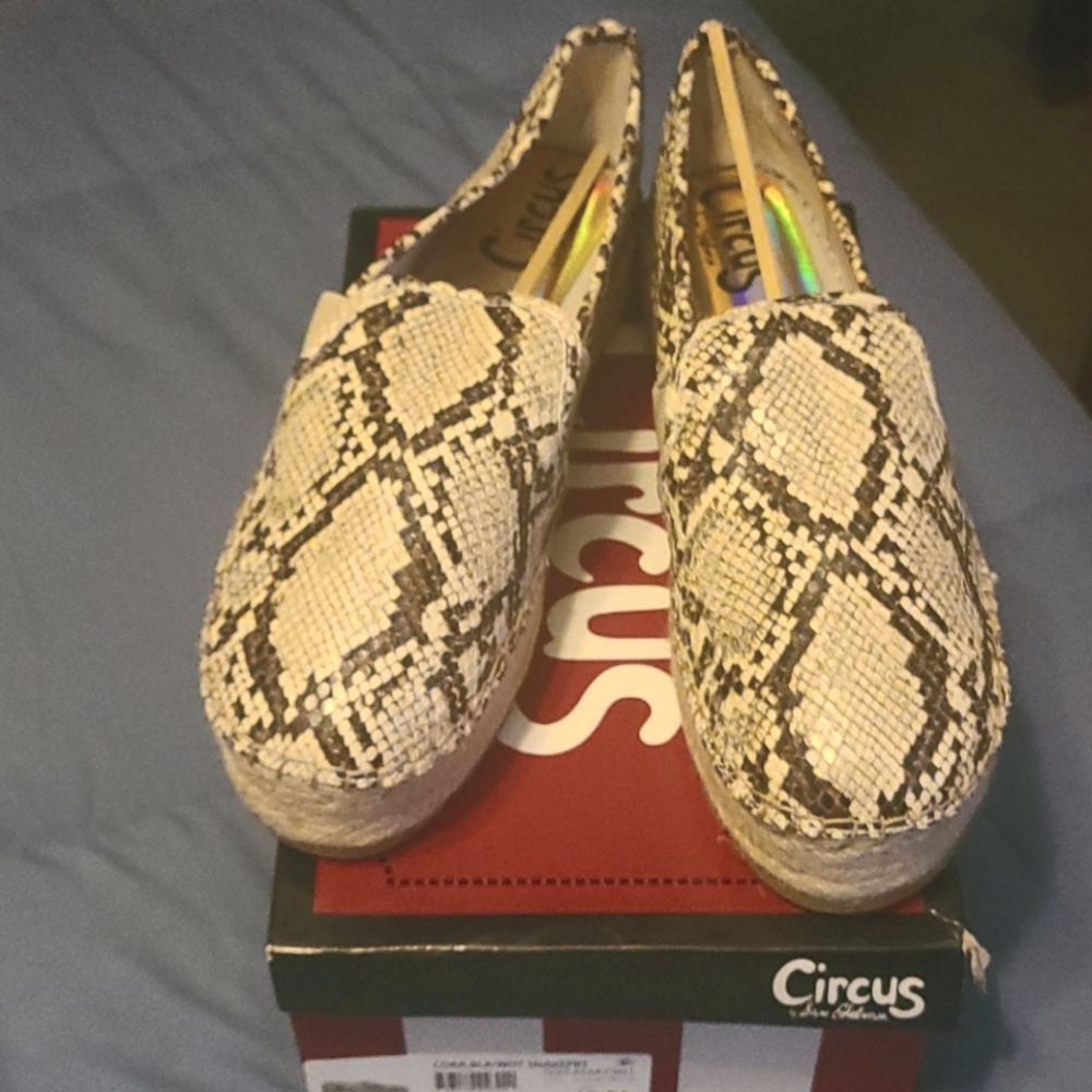 Circus shoes
